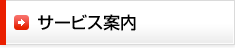 �T�[�r�X�ē�